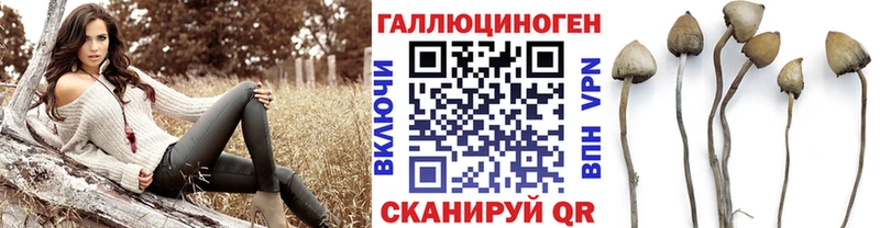 дарнет шоп  omg ссылка  Псилоцибиновые грибы мухоморы  Саки 